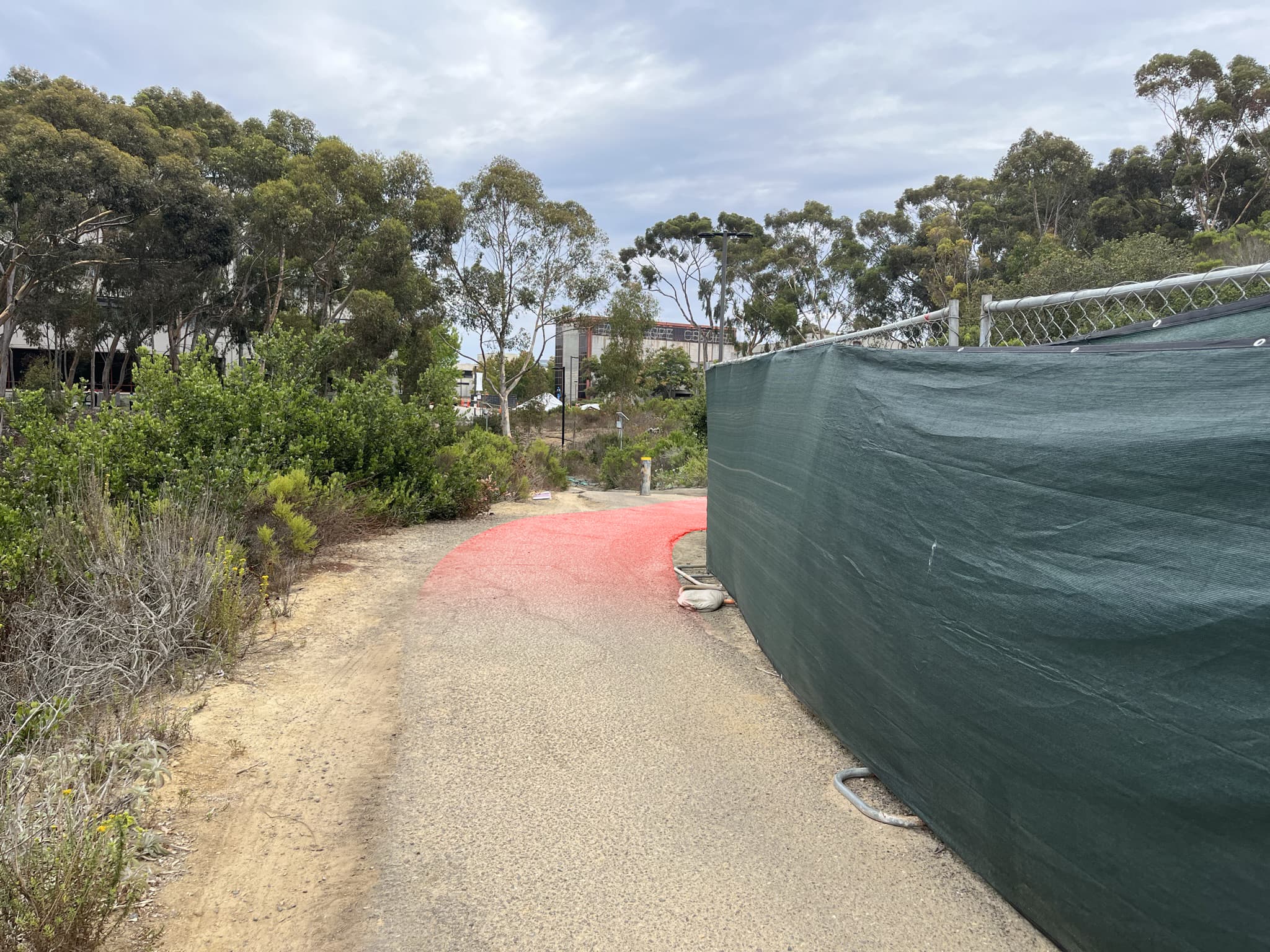 Geisel Blind Turn Eastward