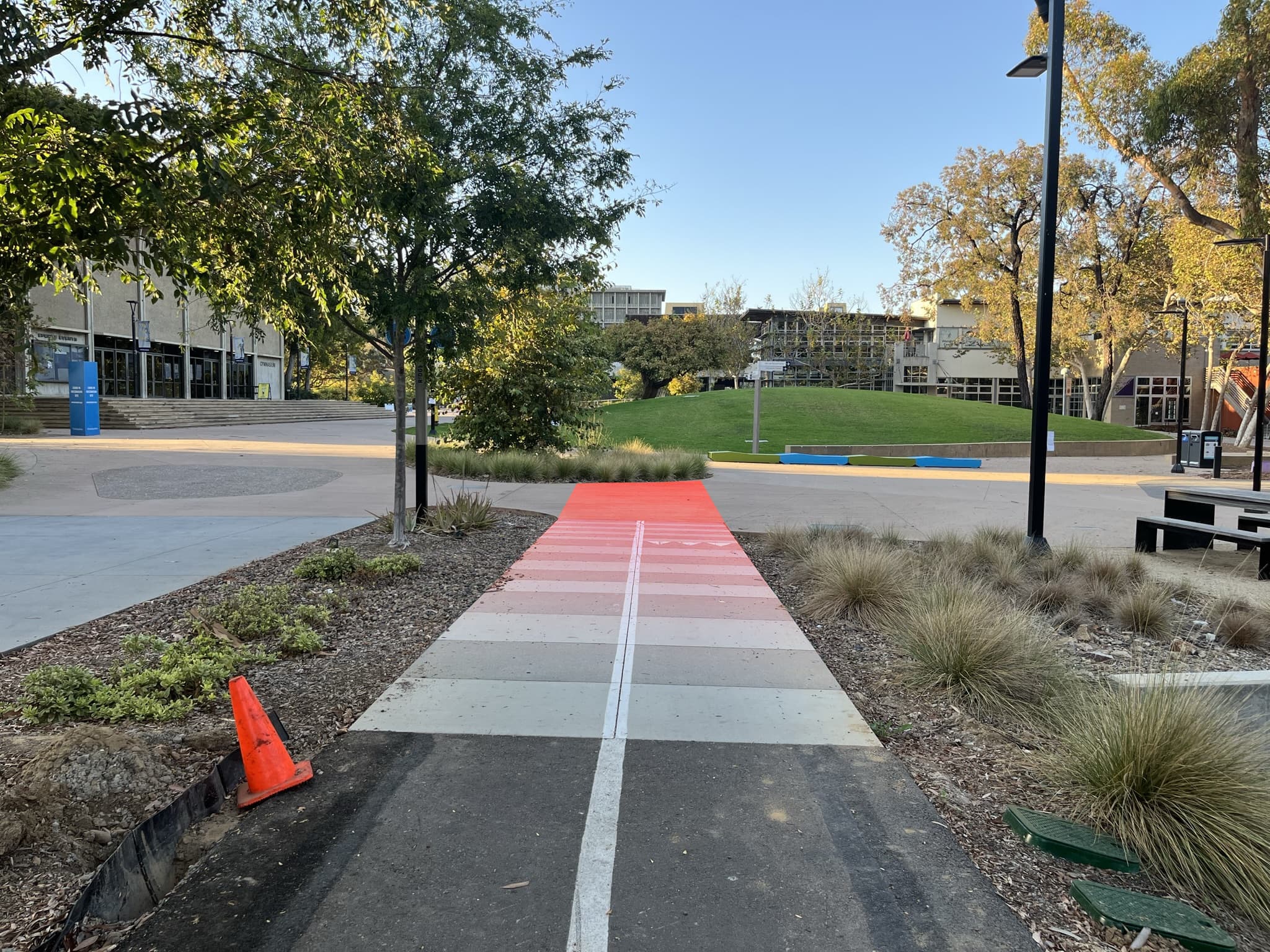 Shrubbery Exiting Bike Lane